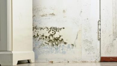 Em muitos casos, o problema não está na parede em si