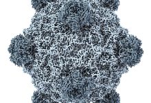 IA cria genoma de vírus do zero pela primeira vez, mostra estudo