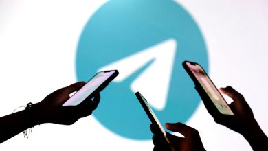 ONG brasileira denuncia à ANPD contas do Telegram com indícios de abuso sexual infantil