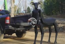 Robô centauro assustador viraliza na internet