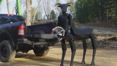 Robô centauro assustador viraliza na internet
