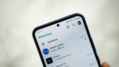 WhatsApp deixará de funcionar em celulares Android antigos em setembro