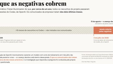 Ele colocou um ano de rascunhos no Codex. Quem investigou se isso importou foi a dona do Codex