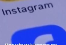 Facebook, TikTok e até Shopee: tráfico de animais e plantas ganha escala nas plataformas digitais