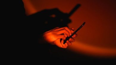 Governo pode proibir OnlyFans e Privacy após as bets? Entenda a polêmica