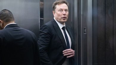 Musk não consegue impedir lei contra apps de tirar a roupa nos EUA