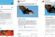 Notas, elaboradas e aprovadas por usuários das redes sociais, costumam recorrer ao jornalismo independente para fundamentar as informações apresentadas