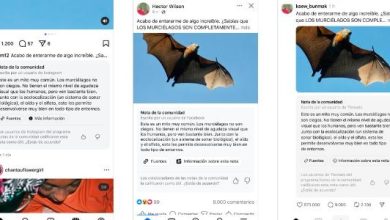 Notas, elaboradas e aprovadas por usuários das redes sociais, costumam recorrer ao jornalismo independente para fundamentar as informações apresentadas