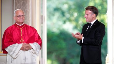 Papa Leão XIV alerta na França para risco de a IA criar um 'paraíso de máquinas'