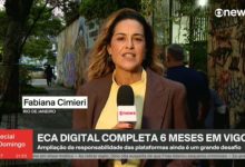 Seis meses do ECA Digital: ampliação da responsabilidade das plataformas ainda é um grande desafio, dizem especialistas