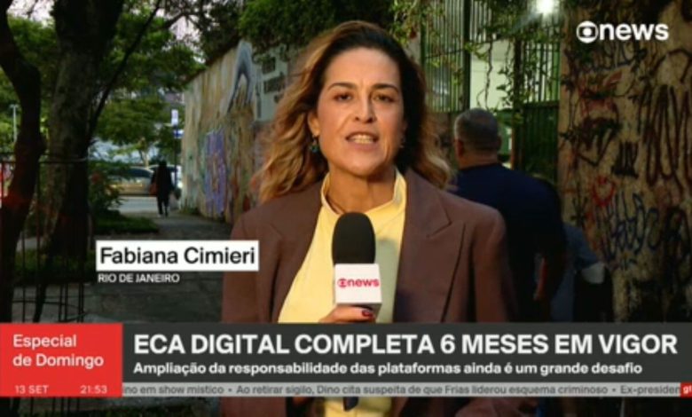 Seis meses do ECA Digital: ampliação da responsabilidade das plataformas ainda é um grande desafio, dizem especialistas